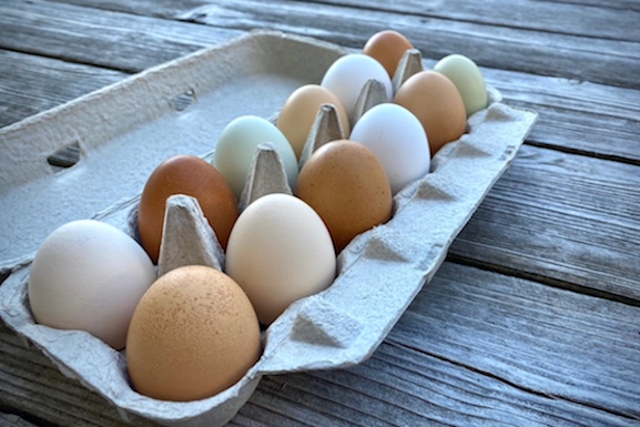 pastured eggs.jpg